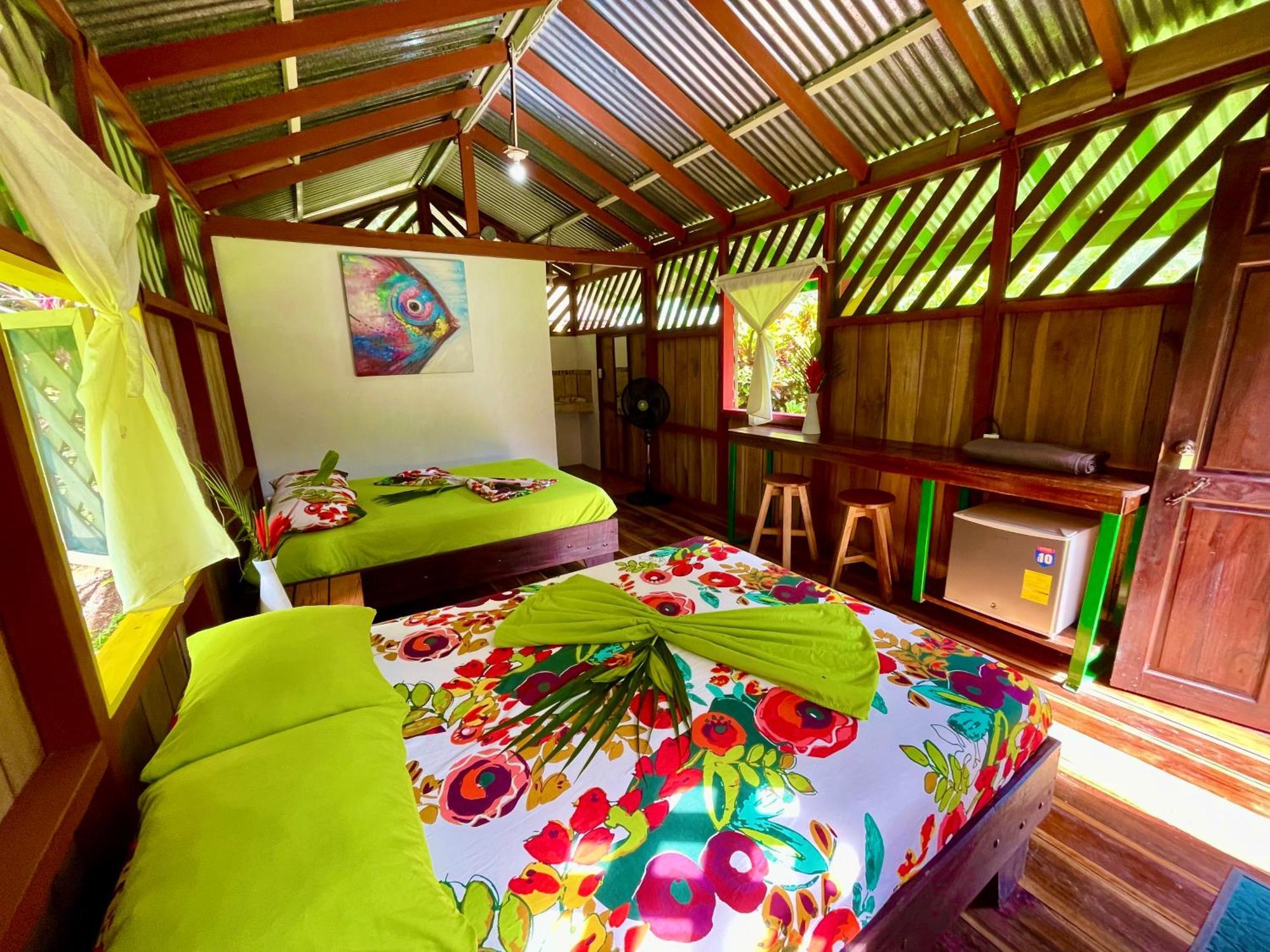 Alouatta Lodge And Canopy 卡维塔 外观 照片