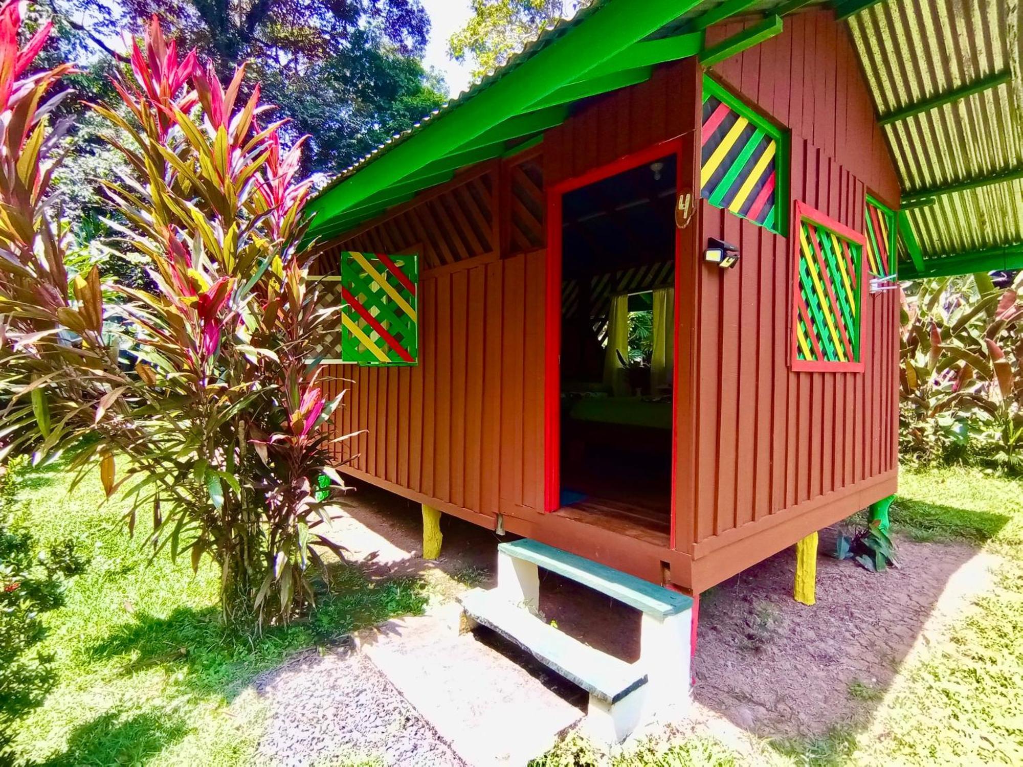 Alouatta Lodge And Canopy 卡维塔 外观 照片