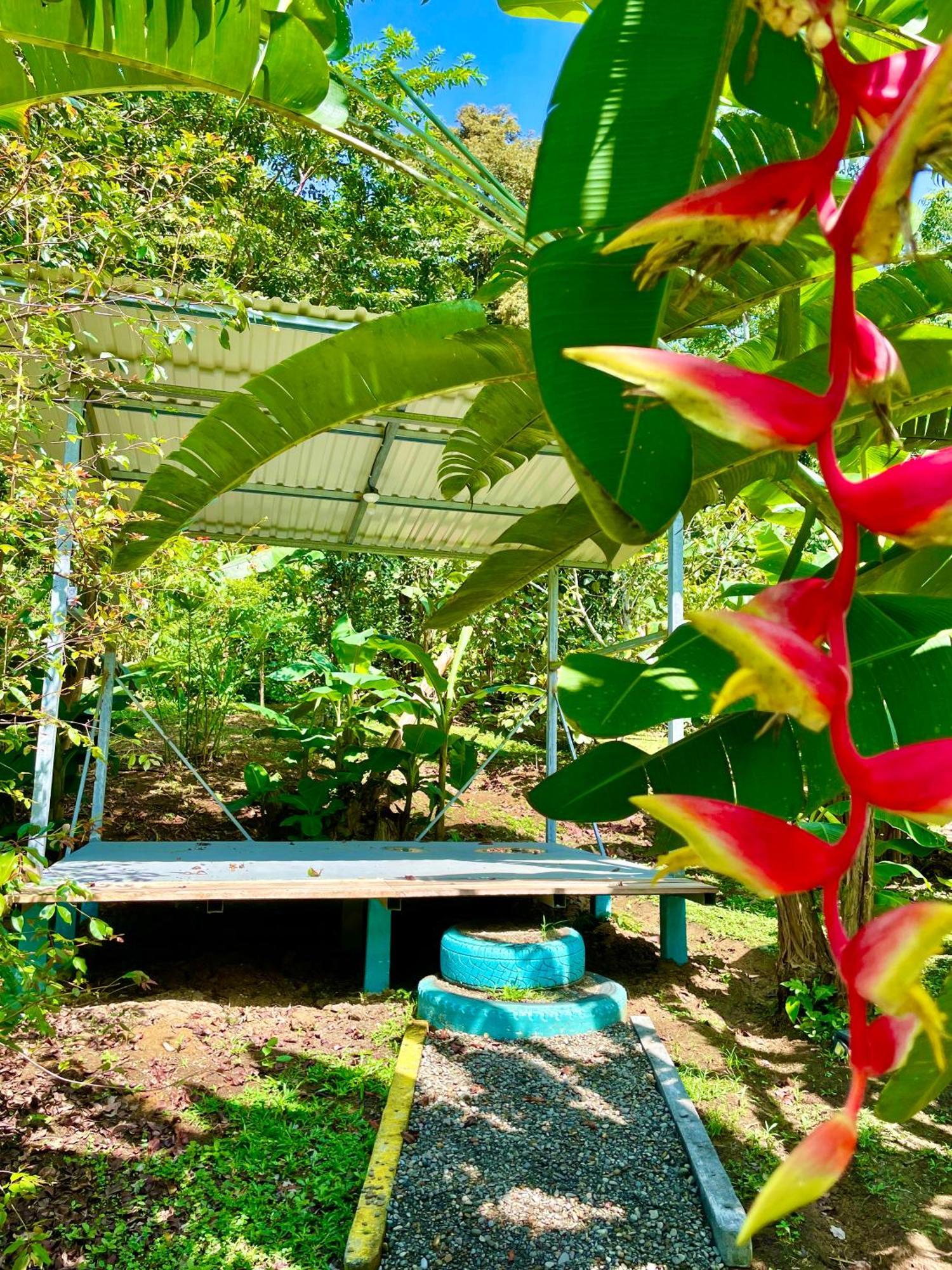Alouatta Lodge And Canopy 卡维塔 外观 照片