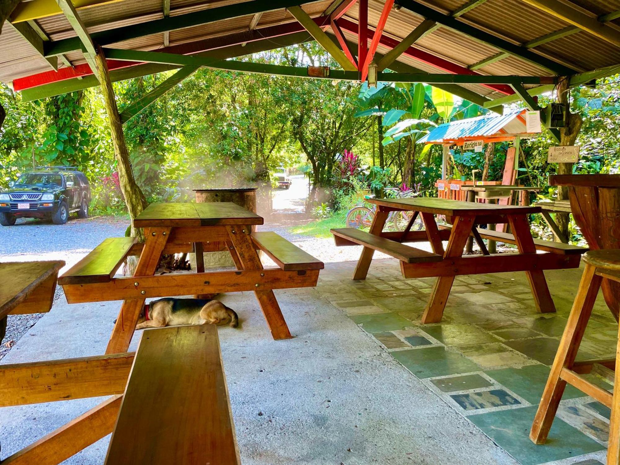 Alouatta Lodge And Canopy 卡维塔 外观 照片