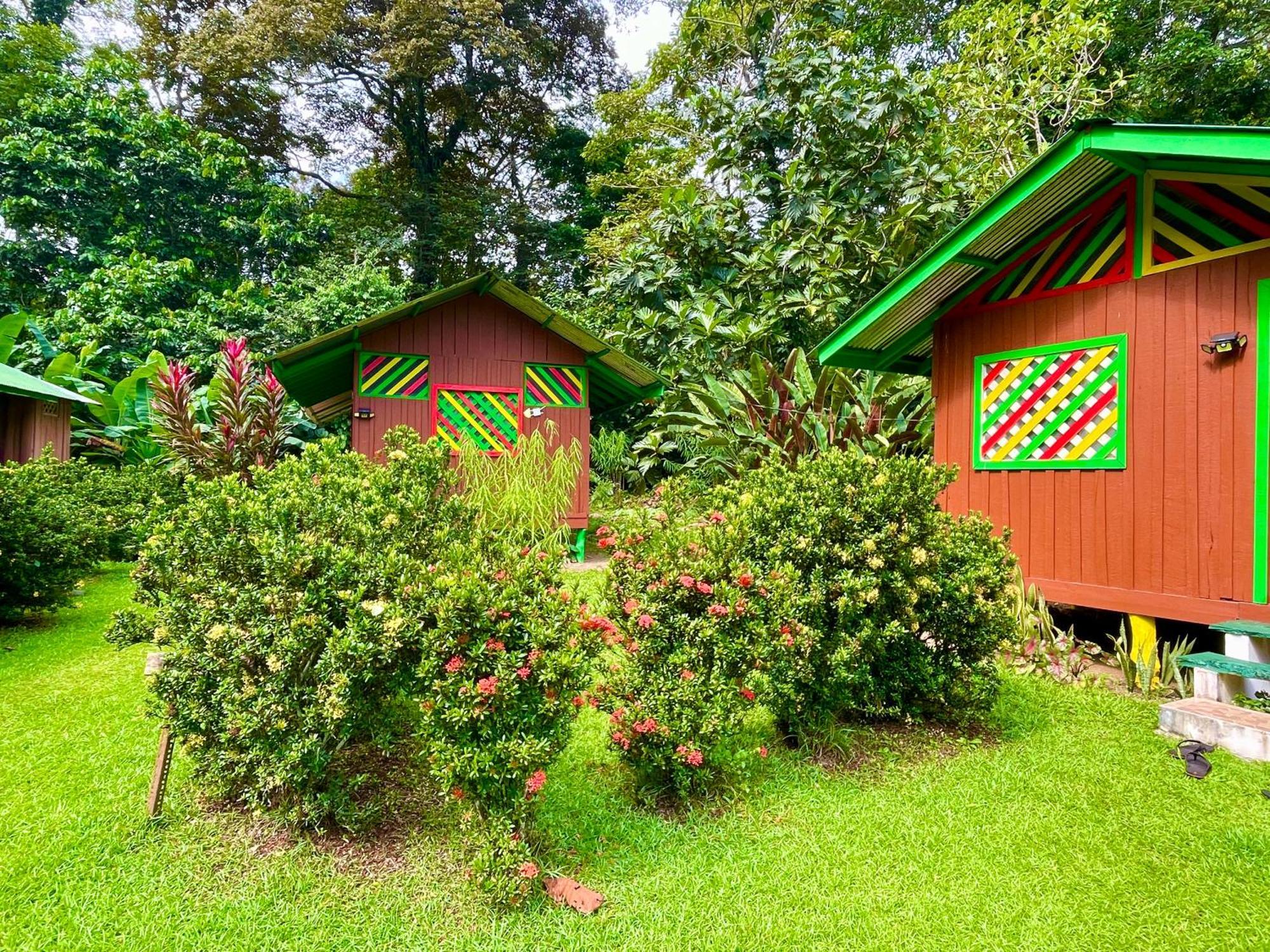 Alouatta Lodge And Canopy 卡维塔 外观 照片