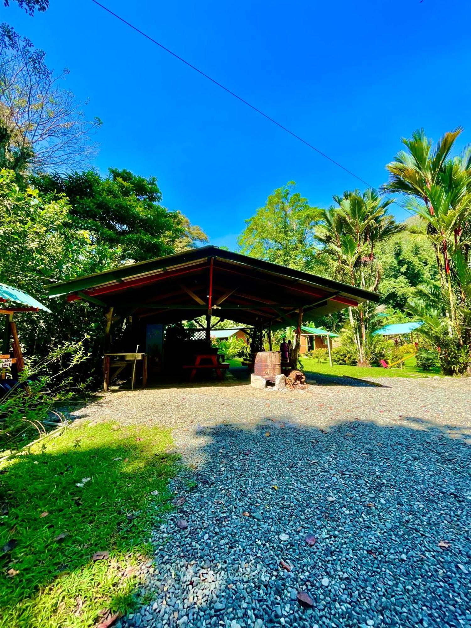 Alouatta Lodge And Canopy 卡维塔 外观 照片