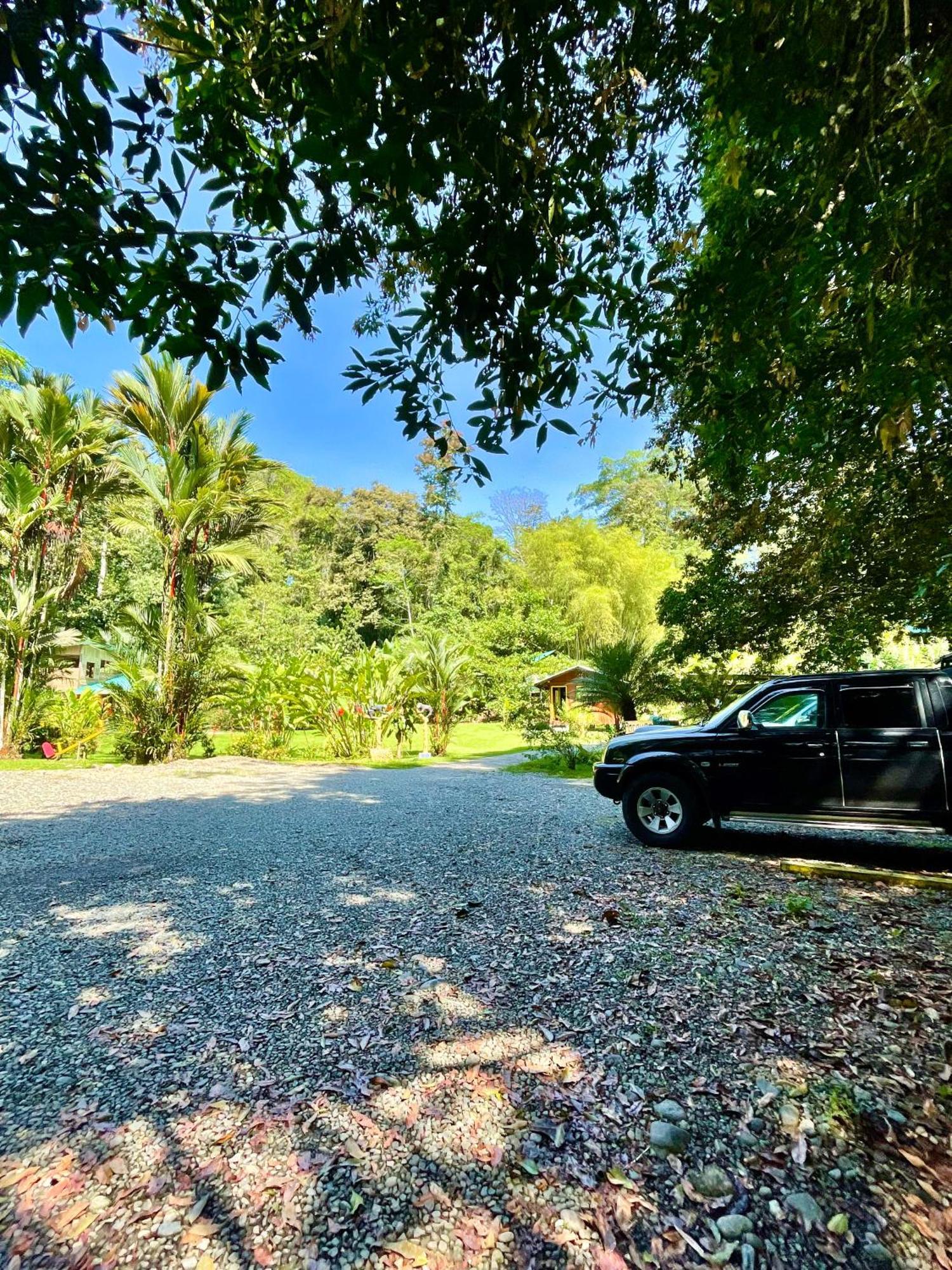 Alouatta Lodge And Canopy 卡维塔 外观 照片