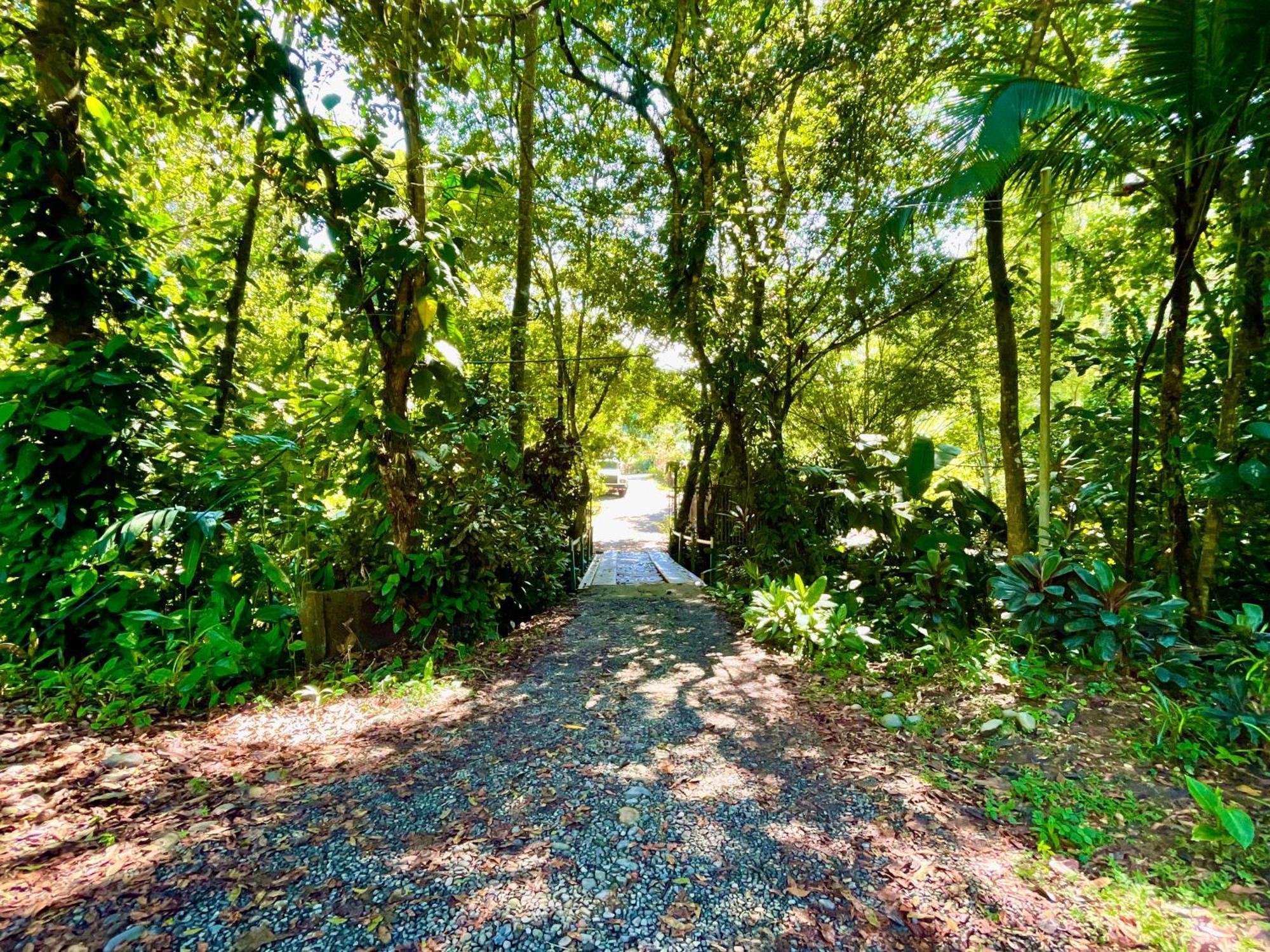 Alouatta Lodge And Canopy 卡维塔 外观 照片