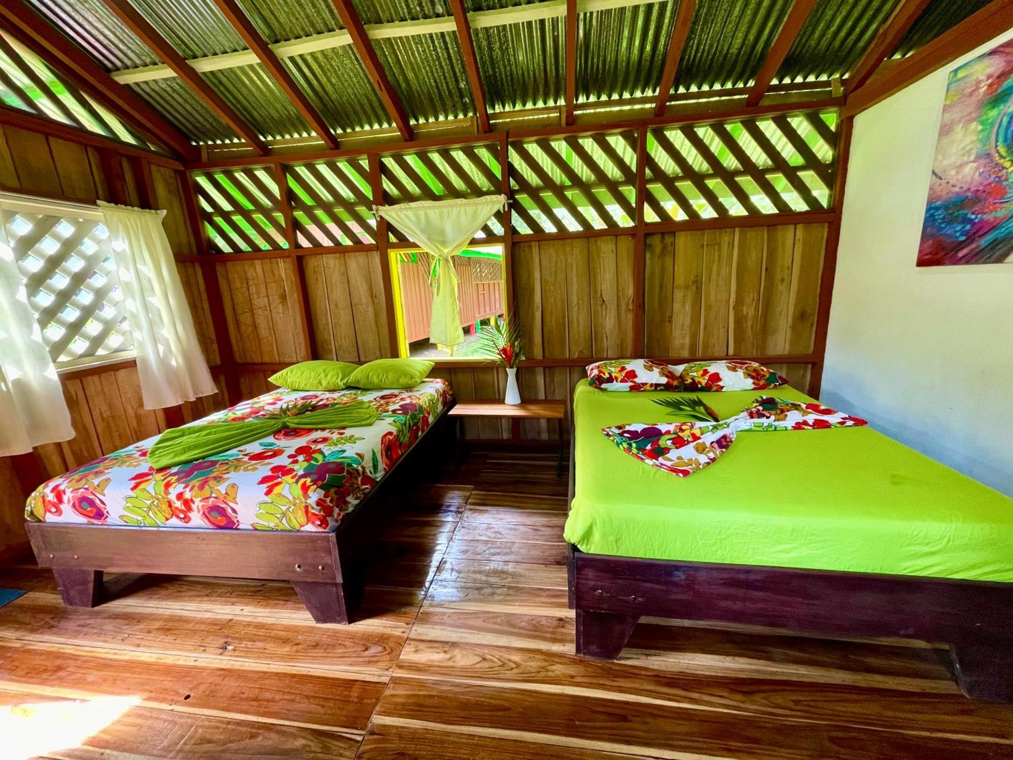 Alouatta Lodge And Canopy 卡维塔 外观 照片